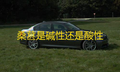 codm开挂辅助器(免费)桑葚是碱性还是酸性